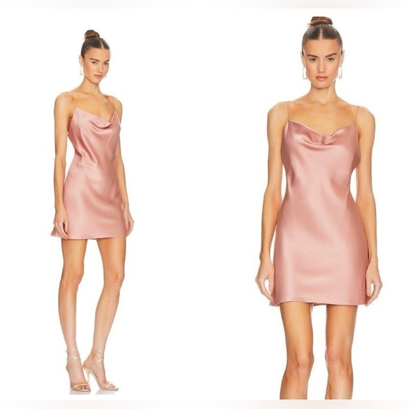 New! ALICE + OLIVIA Harmony Mini Slip Dress  in Burnt Rose 💕 size 6 NWT! - Picture 2 of 12